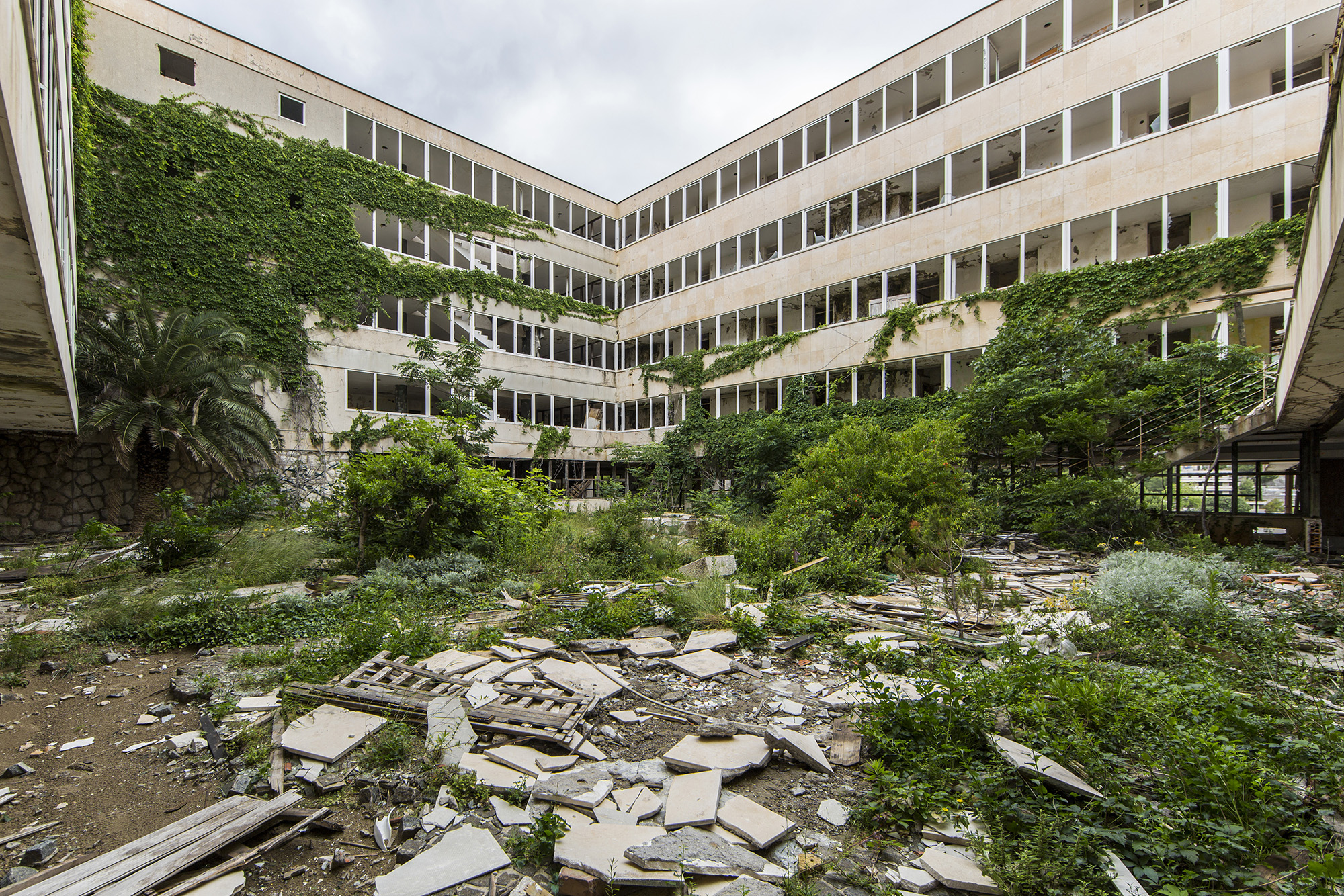 Naturalia – Jonk Photography