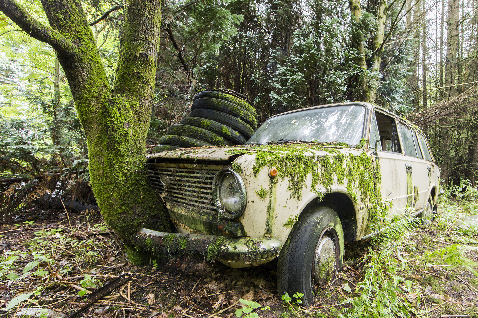 Naturalia – Jonk Photography